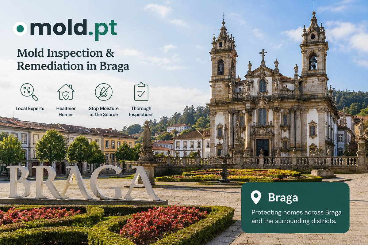 Mold inspection and remediation in Braga, Portugal, showing the Bom Jesus do Monte sanctuary