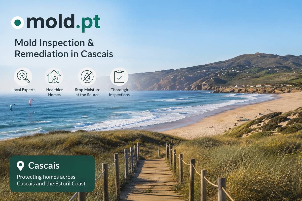 Mold inspection and remediation in Cascais, Portugal, showing the Guincho coastline