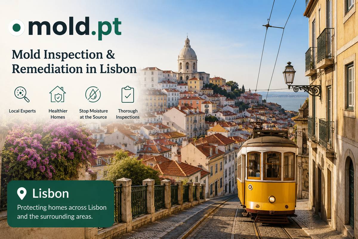 Mold inspection and remediation in Lisboa, Portugal, showing Alfama district and a traditional tram