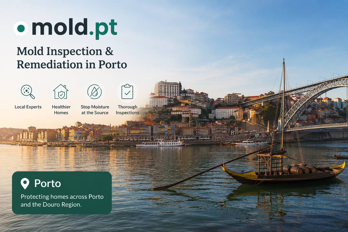 Mold inspection and remediation in Porto, Portugal, showing the Douro riverside and Dom Luís bridge