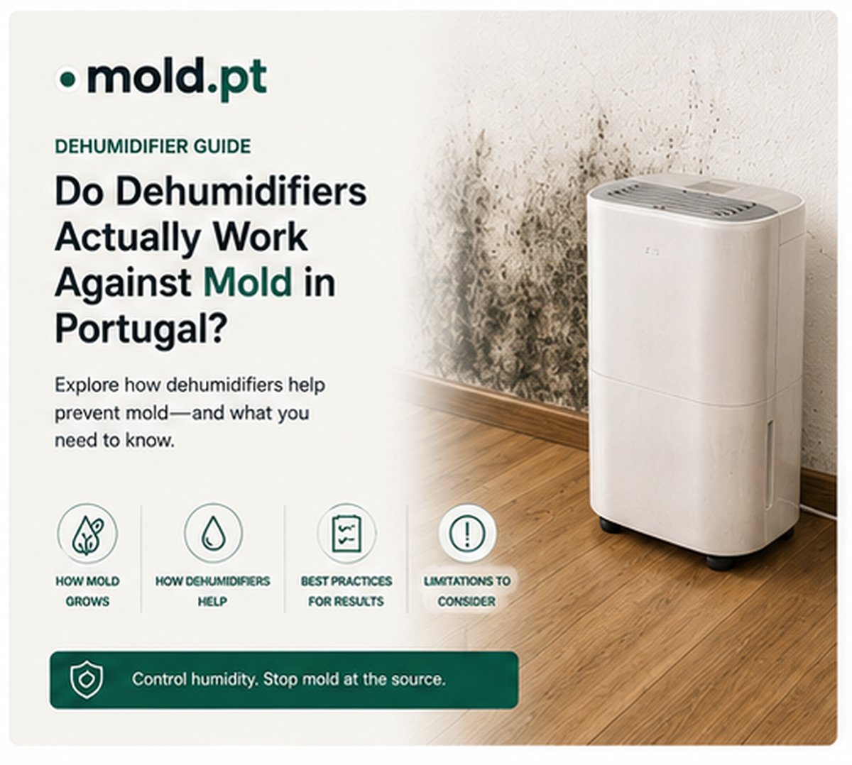 A portable dehumidifier standing in front of a wall with visible mold growth, representing the guide to whether dehumidifiers work against mold