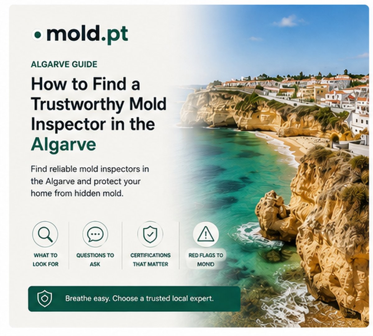 Coastal cliffs and beach along the Algarve coastline, representing the local guide to finding a trustworthy mold inspector