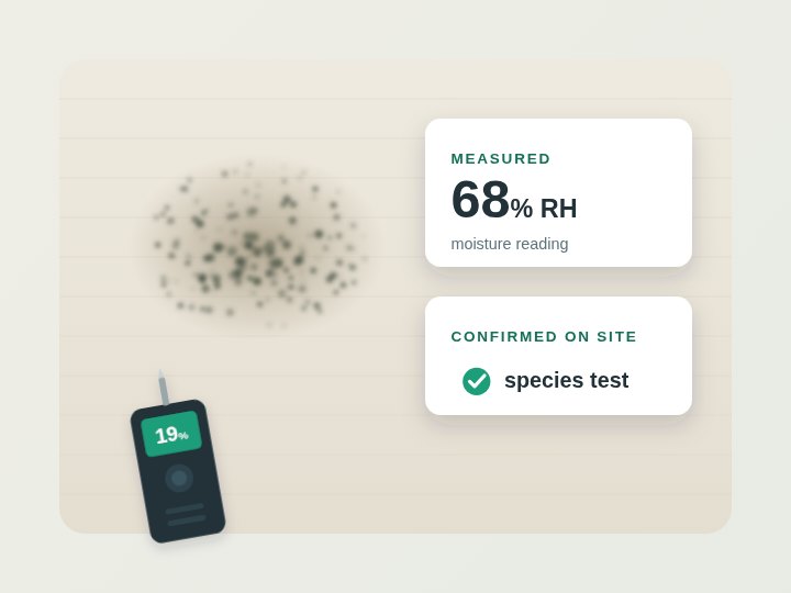 Moisture reading and on-site species test beside a mold-affected wall patch